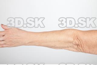 Forearm texture of Shelia 0001